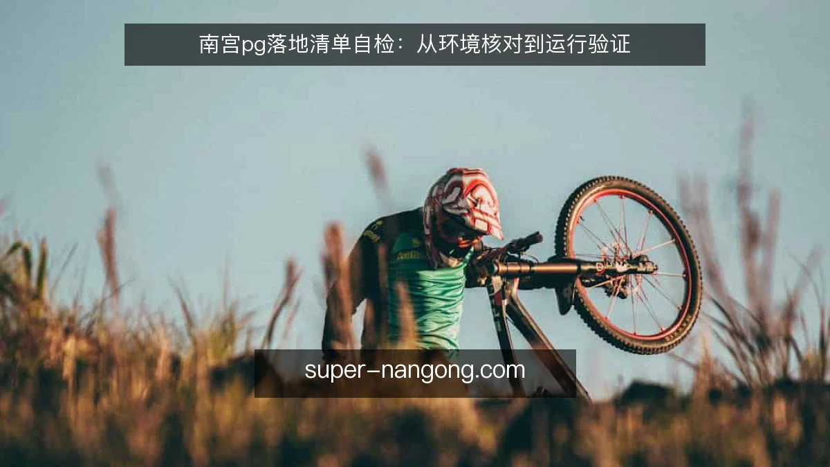 南宫pg落地清单自检:从环境核对到运行验证