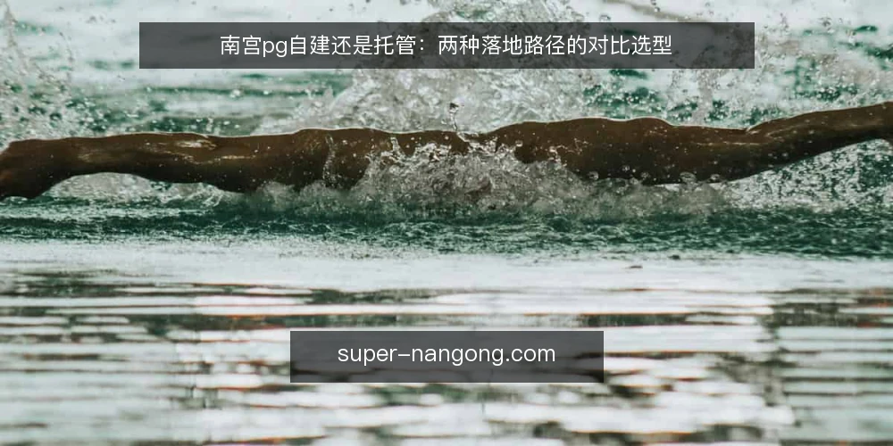 南宫pg自建还是托管:两种落地路径的对比选型 — 决策前先定评判维度 配图